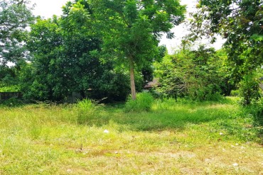 image 7 GPPL0162 Land 777 sqm