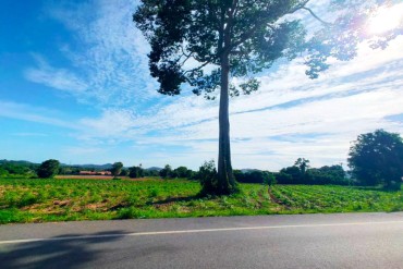 image 5 GPPL0229 Exclusive land in Sattahip area for sale