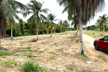 image 3 GPPL0234 Large plot of land in the Mabprachan area